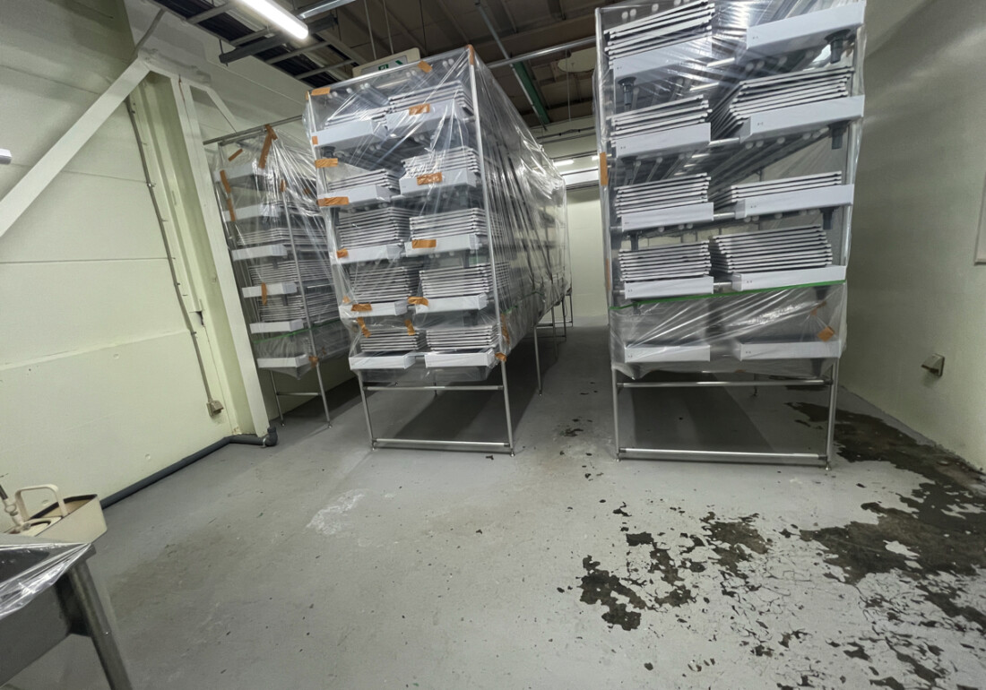 施工事例11施工前