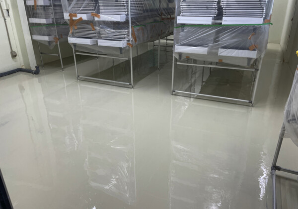 施工事例11施工後